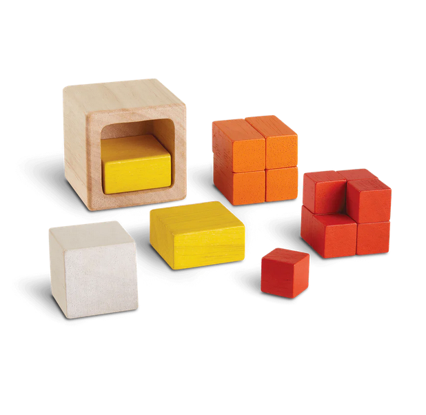 Fraction Cubes by Plan Toys