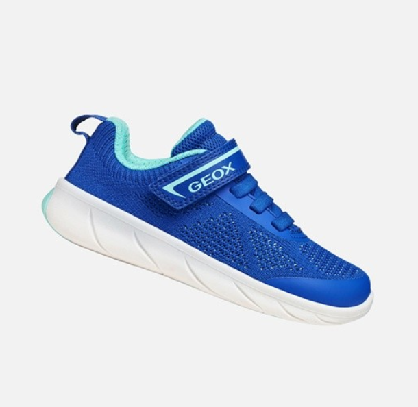 GEOX Foot-Run Barefoot Runners Royal Watersea