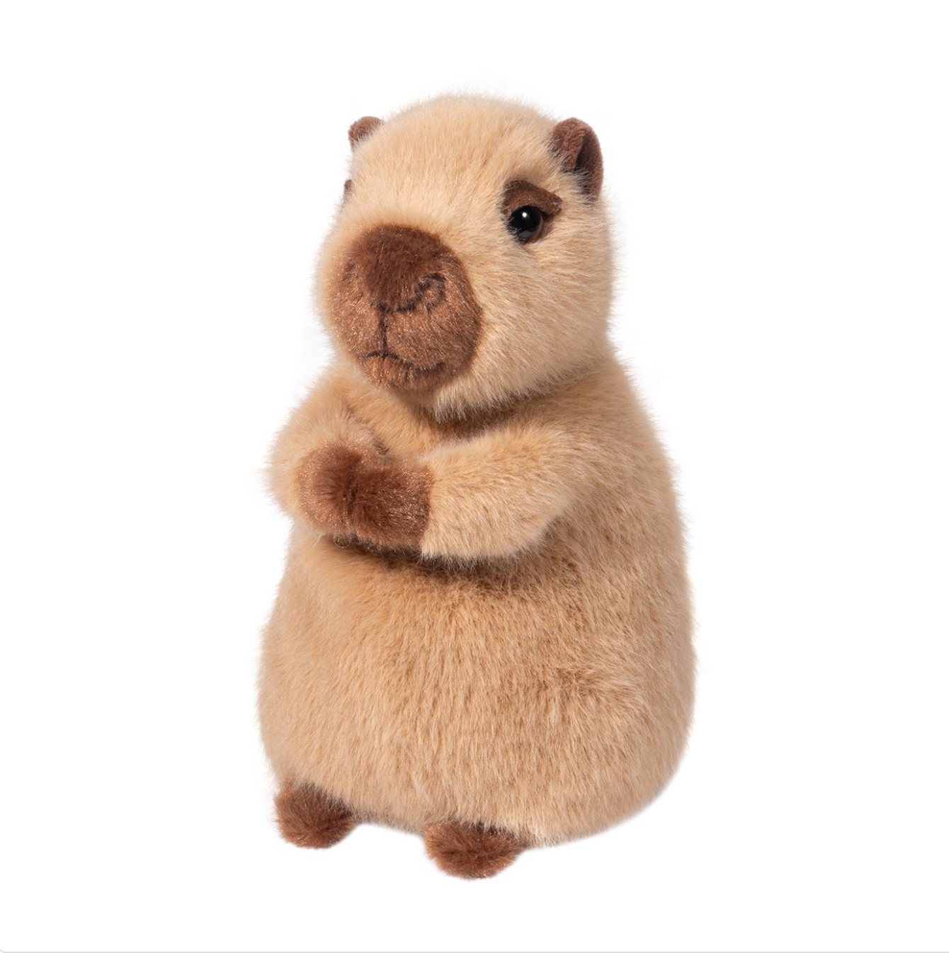 Mini Chattie Soft Capybara by Douglas
