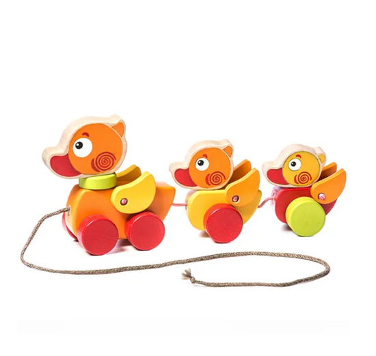 Walk-A-Long Traveling Ducks by Cubika